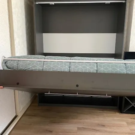 公寓 Fam.appartement Near Amsterdam And Beach 希勒霍姆